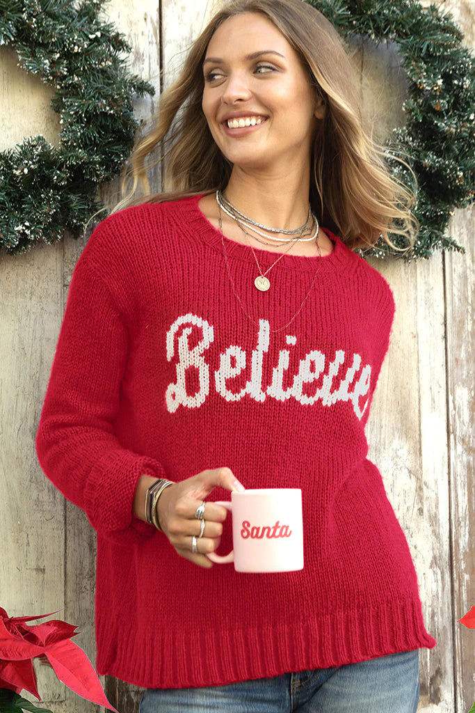 Wooden Ships Believe Chunky Pullover Sweater