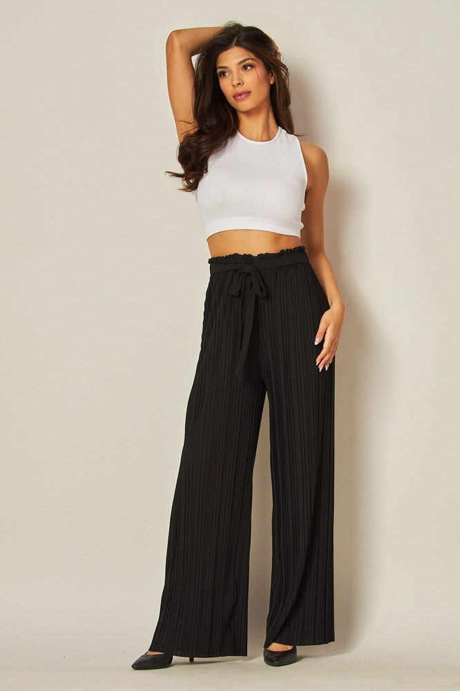 Katherine Accordion Pleat Wide Leg Pants